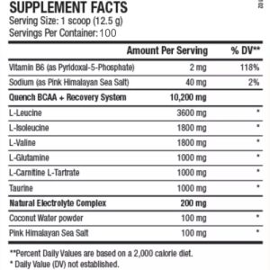 ANS QUENCH BCAA 100SERV